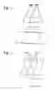 Fig. 03 - Method and system for photogrammetric processing of images