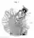 Fig. 08 - ORIENTATION ESTIMATION METHOD, AND ORIENTATION ESTIMATION DEVICE