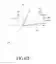 Fig. 16 - Electronic device and method for displaying and generating panoramic image