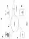 Fig. 08 - SYSTEMS, APPARATUS, AND METHODS FOR PROVIDING AN AUGMENTED IMAGE OF A VIRTUAL TOMBSTONE VIA AN ELECTRONIC DEVICE