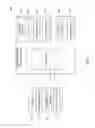 Fig. 02 - INTERACTIVELY AUGMENTED REALITY ENABLE SYSTEM