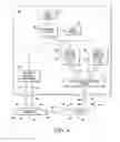 Fig. 04 - Articles with confounded emission characteristics and methods and apparatus for their authentication