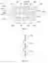 Fig. 09 - PORTABLE TRAFFIC CONTROL SIGNAGE APPARATUS AND METHODS