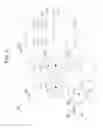 Fig. 06 - Level shift circuit and display driver