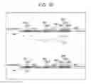 Fig. 21 - Information processing device and method, recording medium, and program