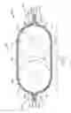 Fig. 11 - Shielded electrical ribbon cable with dielectric spacing