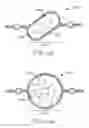 Fig. 17 - Shielded electrical ribbon cable with dielectric spacing