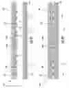Fig. 11 - Micro-electro-mechanical system (MEMS) variable capacitor apparatuses and related methods