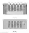 Fig. 06 - Improving channel strain and controlling lateral epitaxial growth of the source and drain in FinFET devices