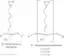 Fig. 10 - Wafer processing laminate and method for processing wafer