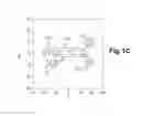 Fig. 03 - Method for making patterns by self-assembly of block copolymers
