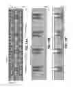 Fig. 18 - Floating staircase word lines and process in a 3D non-volatile memory having vertical bit lines