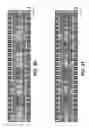 Fig. 19 - Floating staircase word lines and process in a 3D non-volatile memory having vertical bit lines