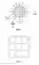 Fig. 02 - Quantum dot optical devices with enhanced gain and sensitivity and methods of making same