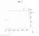 Fig. 04 - Organic light emitting display device with improved pad area and method for fabricating the same