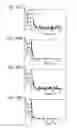 Fig. 06 - Semiconductor device and method for manufacturing the same