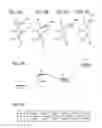 Fig. 07 - Semiconductor device and method for manufacturing the same