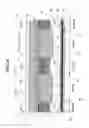 Fig. 35 - IE type trench gate IGBT