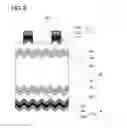 Fig. 04 - Solar cell module and method for manufacturing same