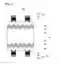 Fig. 05 - Solar cell module and method for manufacturing same