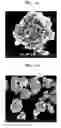 Fig. 02 - Composite cathode active material, method of preparing the composite cathode active material, and cathode and lithium battery each including the composite cathode active material