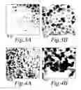 Fig. 04 - Antimony based anode material for rechargeable batteries and preparation method
