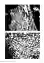 Fig. 02 - CARBON MATERIAL, METHOD FOR MANUFACTURING SAME, AND APPLICATION OF SAME