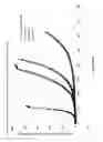 Fig. 02 - Membrane electrode assembly