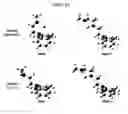 Fig. 13 - Liquid phenothiazine catholytes for non-aqueous redox flow batteries