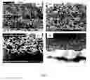 Fig. 02 - CERAMIC ION CONDUCTING STRUCTURES AND METHODS OF FABRICATING SAME, AND USES OF SAME