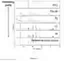 Fig. 07 - CERAMIC ION CONDUCTING STRUCTURES AND METHODS OF FABRICATING SAME, AND USES OF SAME