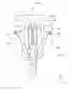 Fig. 07 - Motor terminal, motor terminal assembly having the same, and method of assembling motor using the same