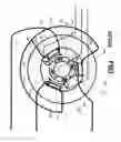 Fig. 04 - Brushless D.C. motor with improved rotor magnet position sensing