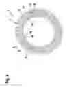 Fig. 05 - Short-circuiting ring and rotor for an electric machine