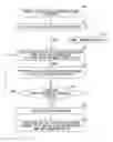 Fig. 01 - Enhanced node B and method for precoding with reduced quantization error