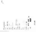 Fig. 136 - Machine data-derived key performance indicators with per-entity states