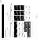 Fig. 152 - Machine data-derived key performance indicators with per-entity states