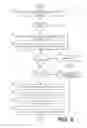 Fig. 07 - Single sign-on for managed mobile devices using kerberos