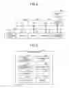 Fig. 04 - Information processing system, access method, and terminal device