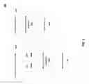 Fig. 03 - DIRECT MEMORY ACCESS FOR ENDPOINT DEVICES