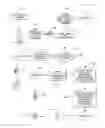 Fig. 01 - Transmission of emergency data during an emergency
