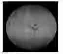 Fig. 01 - Imaging system capable of generating multi-gradation image data representing an image obtained by imaging a sample in a medium in a wide dynamic range