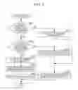Fig. 04 - Image blur correction apparatus, method for controlling the same, and storage medium