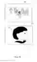Fig. 03 - Preview image display method, apparatus and storage medium