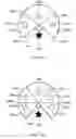 Fig. 03 - Multiple display planes for participant collaboration