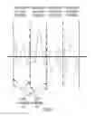 Fig. 09 - Audio splitting with codec-enforced frame sizes