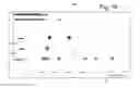 Fig. 19 - Method and System for Processing Data Used By Creative Users to Create Media Content