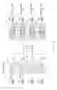 Fig. 05 - OPTICAL TRANSMISSION DEVICE AND OPTICAL TRANSMISSION SYSTEM