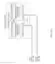 Fig. 13 - Communication method, user equipment, access network device, and application server