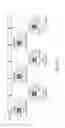 Fig. 07 - Cell search method and device in cellular communication system
